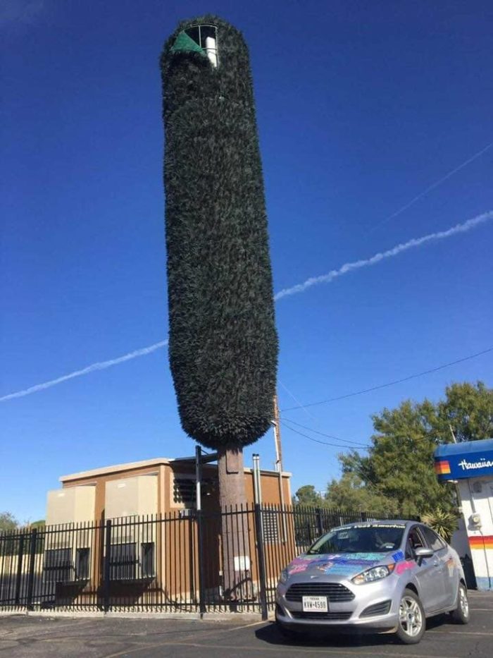 Tarnung eines Mobilfunkmasten als Baum