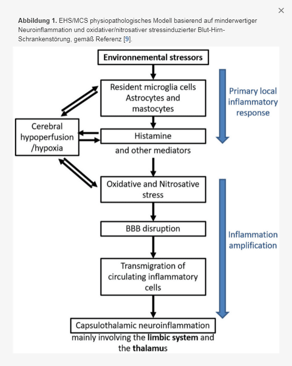 Physiopathologisches Modell von EHS MCS