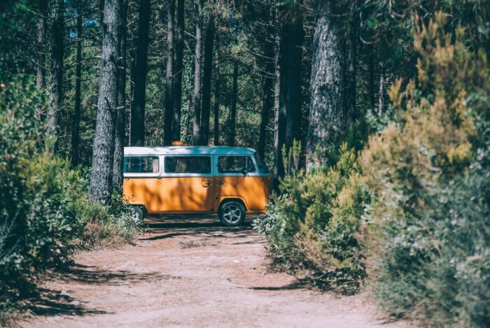 Ein VW Bus – oder Bulli in einem Waldstück